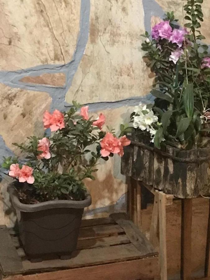 Pousada Cama & Cafe Otel Paracatu Dış mekan fotoğraf