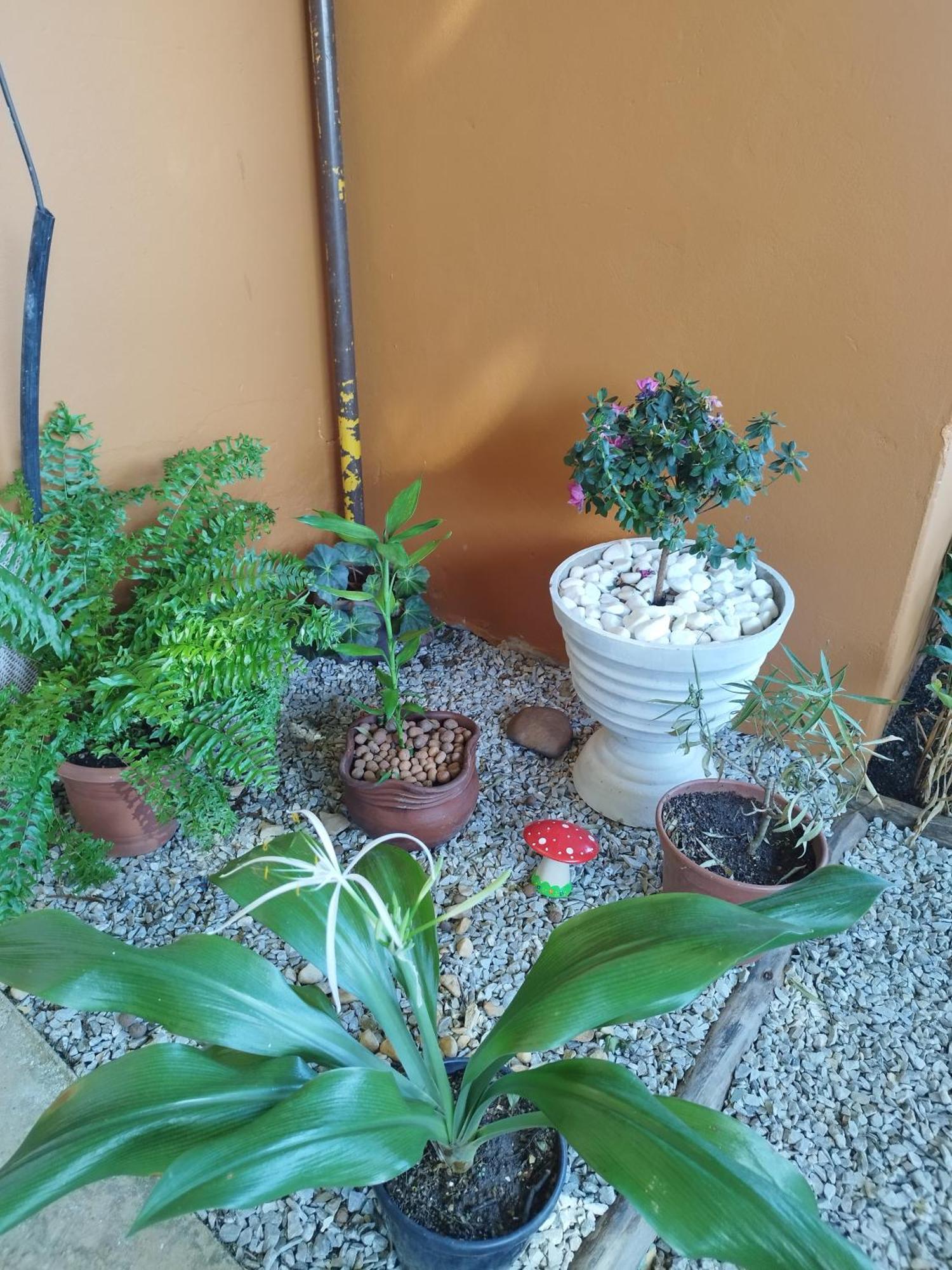 Pousada Cama & Cafe Otel Paracatu Dış mekan fotoğraf